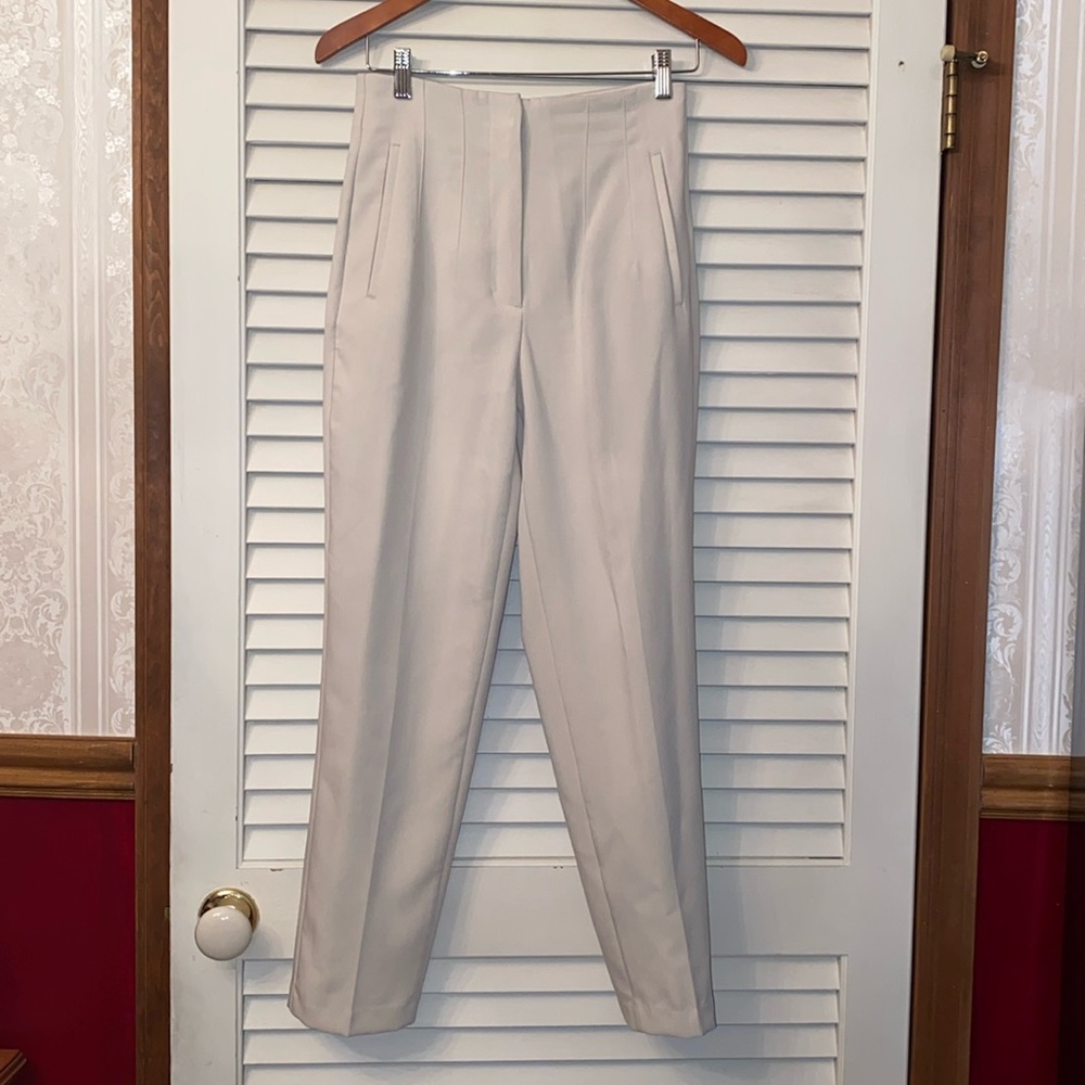 Zara High Waisted pants
